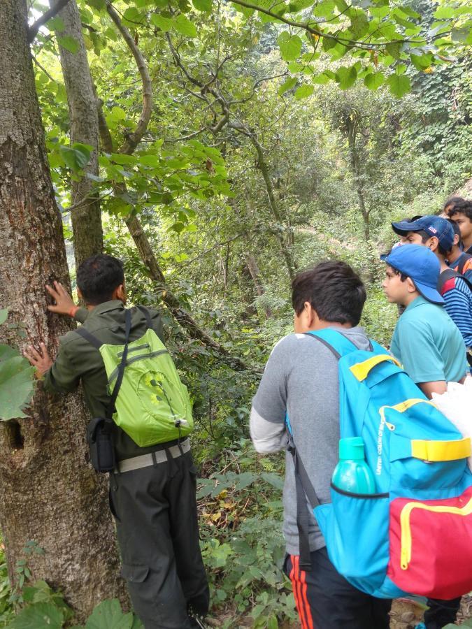Corbett Nature Retreat Ramnagar (Uttarakhand) Exterior foto